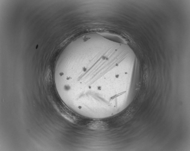 X0000080740459200701051149