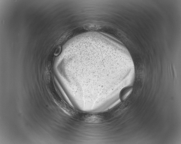 X0000080740460200701051149