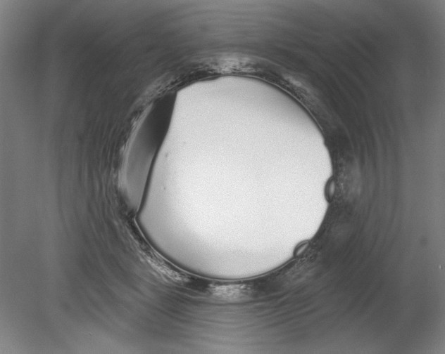 X0000080740461200701051149