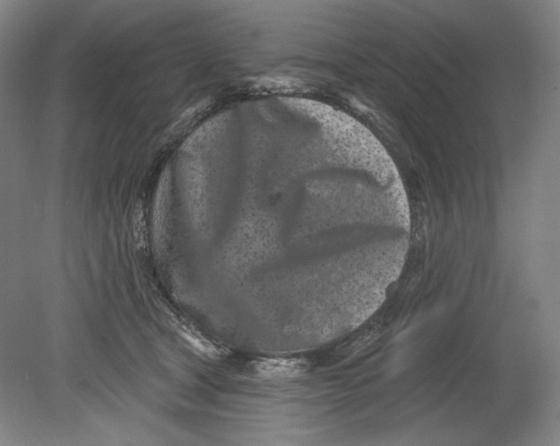 X0000080740465200701051149