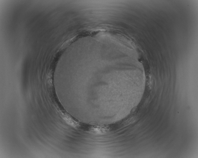 X0000080740466200701051149