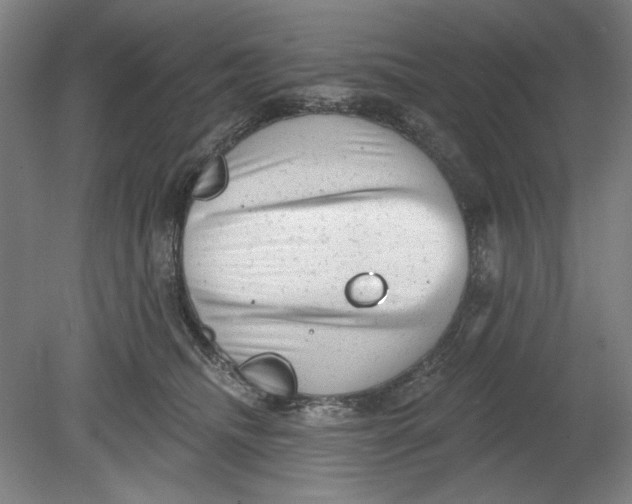 X0000080740468200701051149