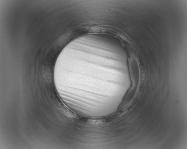 X0000080740469200701051149