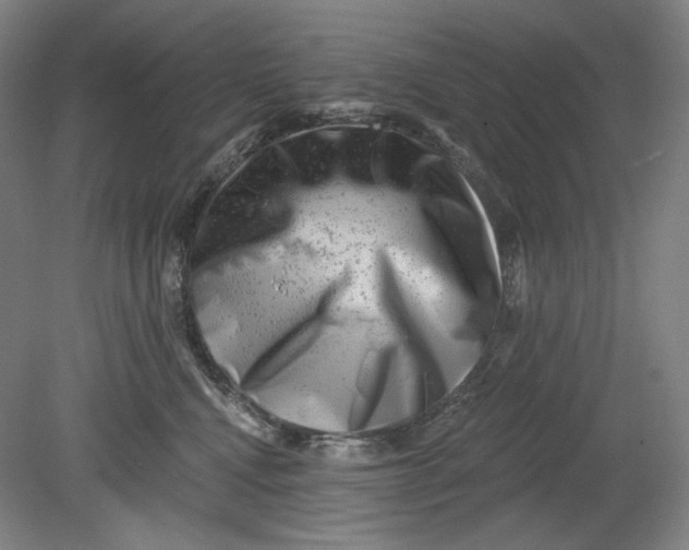 X0000080740472200701051149