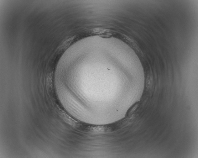 X0000080740473200701051149