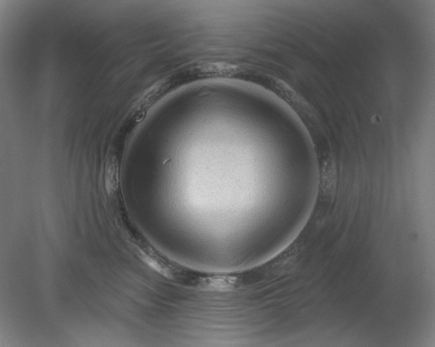 X0000080740474200701051149