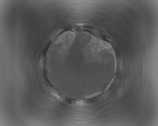 X0000080740475200701051149