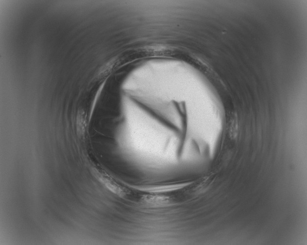 X0000080740476200701051149