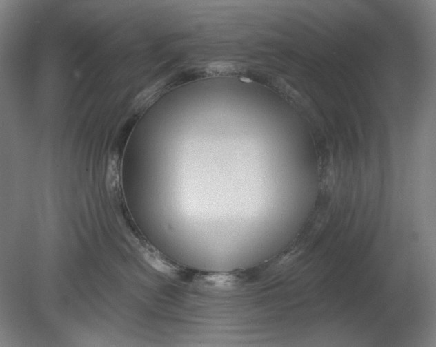 X0000080740478200701051149