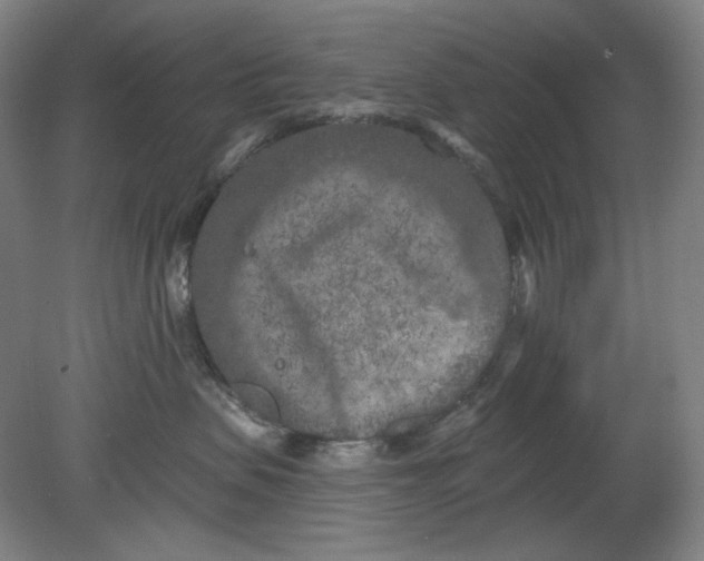 X0000080740479200701051149