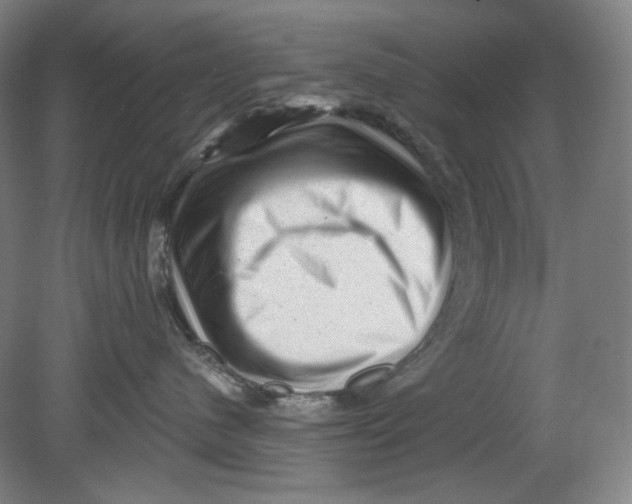 X0000080740480200701051149