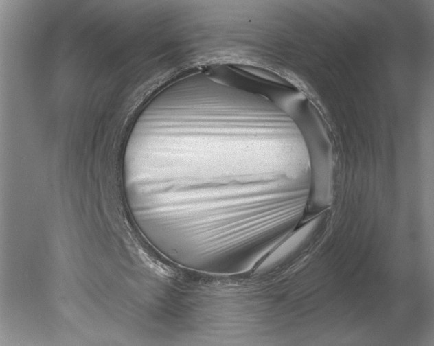 X0000080740481200701051148