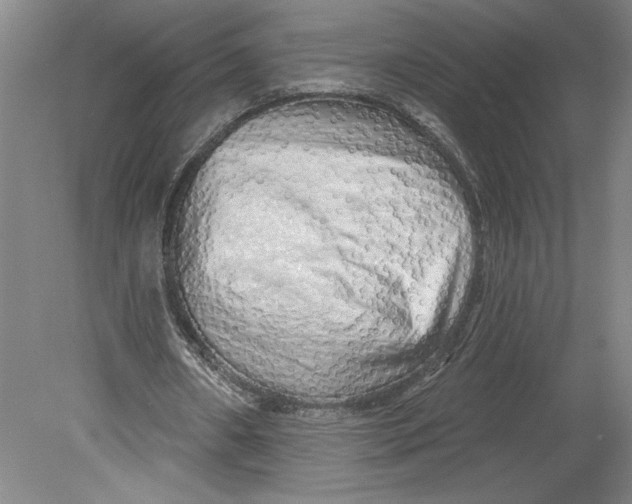 X0000080740482200701051148