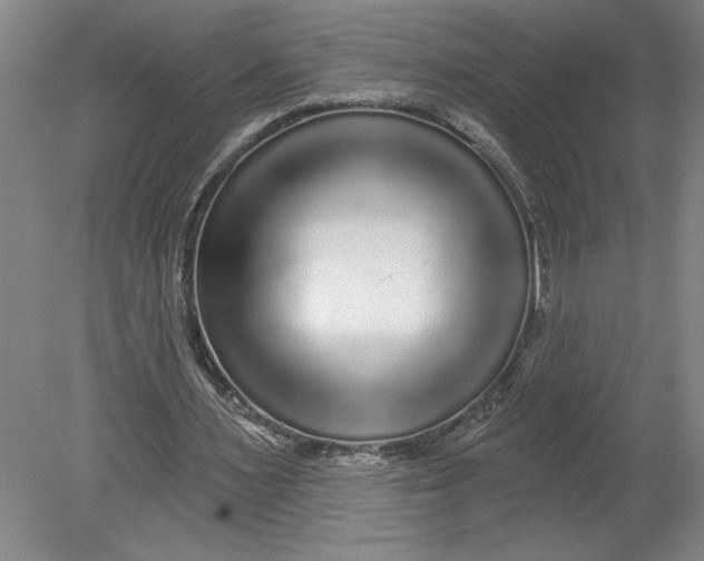 X0000080740483200701051148