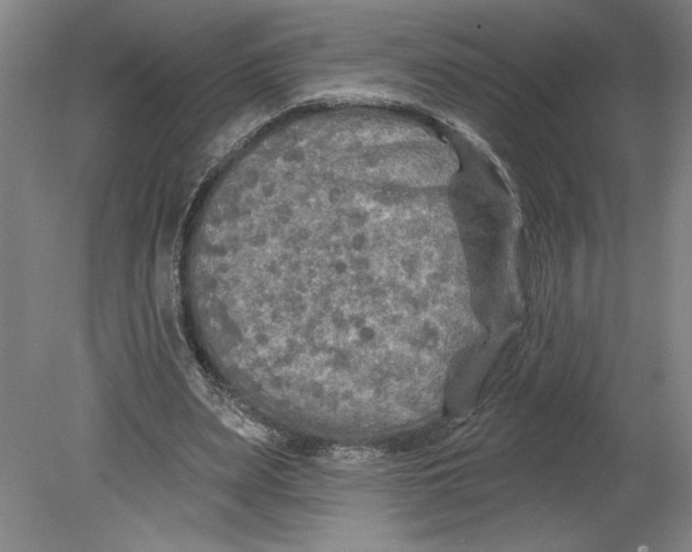 X0000080740487200701051148