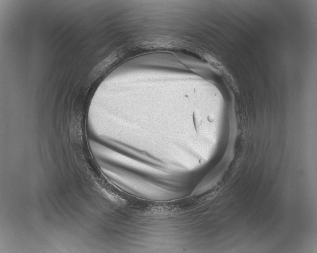 X0000080740489200701051148