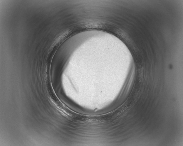 X0000080740490200701051148