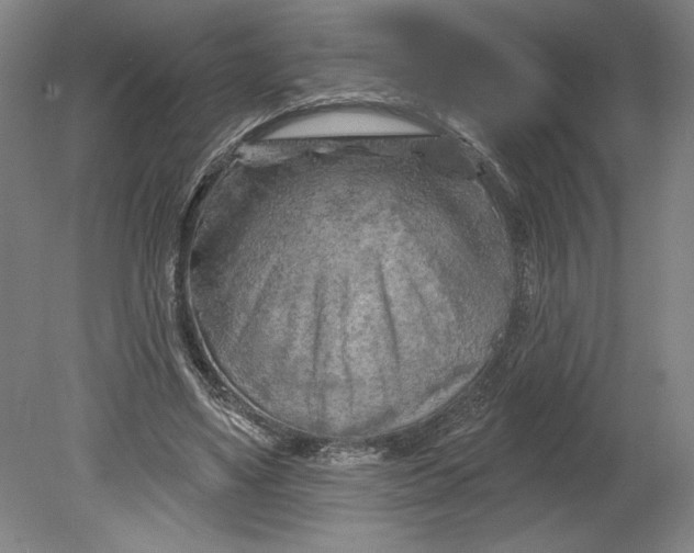 X0000080740491200701051148