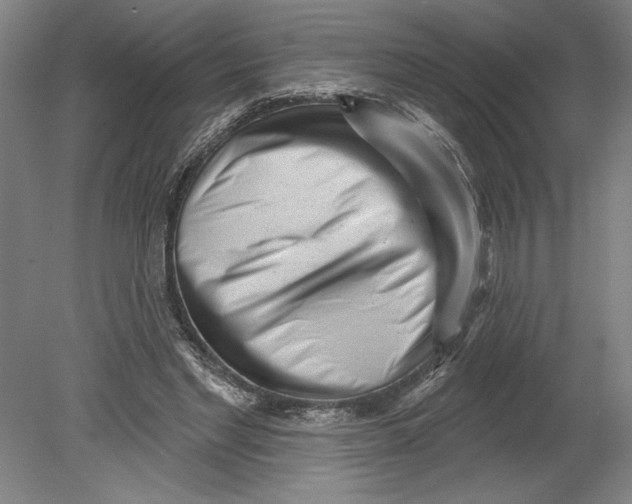 X0000080740493200701051148