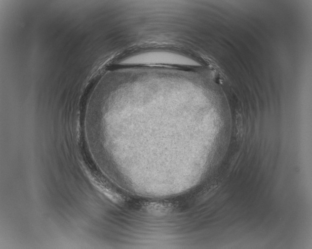 X0000080740494200701051148