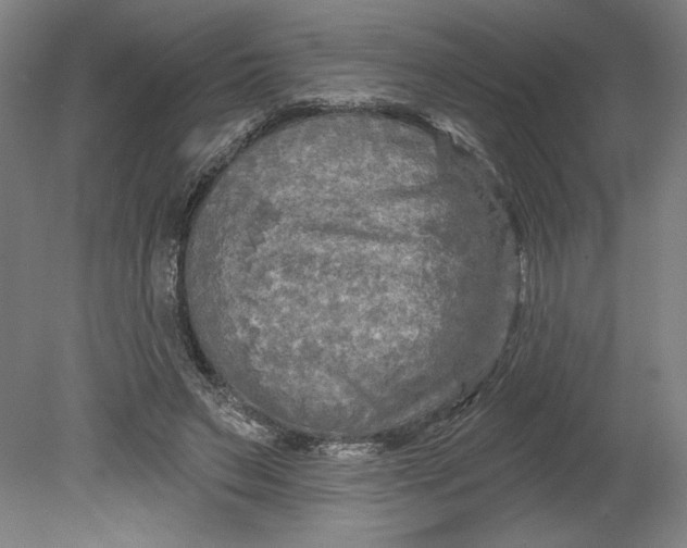 X0000080740495200701051148