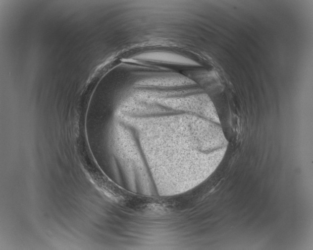 X0000080740496200701051148