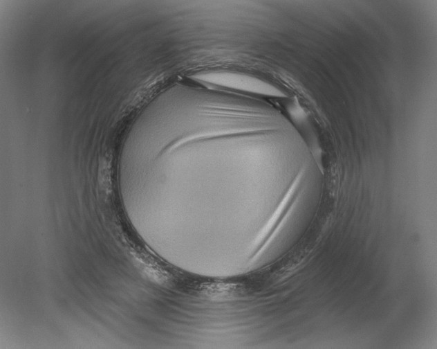 X0000080740497200701051148