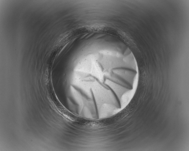 X0000080740498200701051148