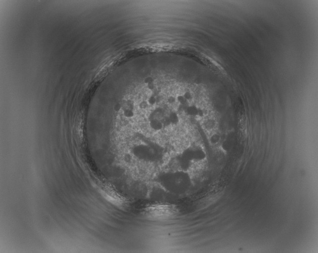 X0000080740499200701051148