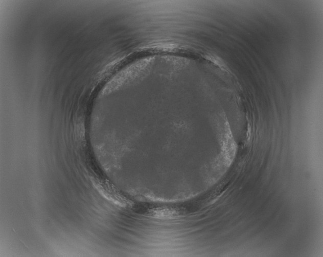 X0000080740500200701051148