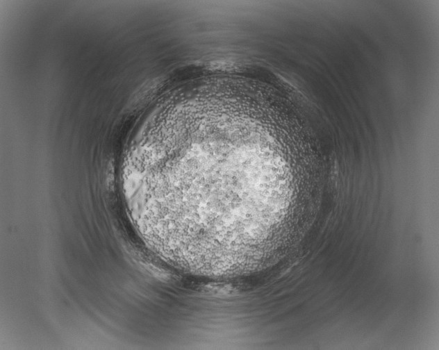 X0000080740502200701051148