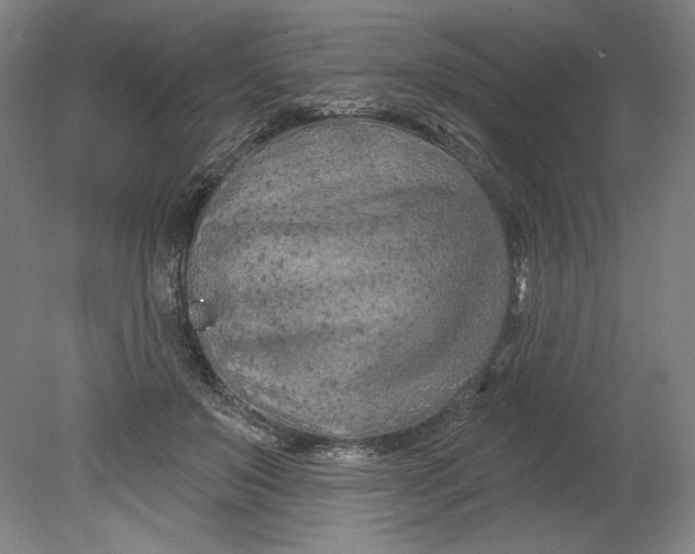 X0000080740503200701051148