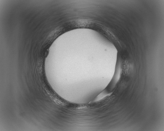 X0000080740505200701051148