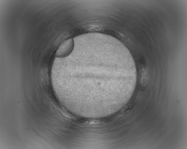 X0000080740506200701051148