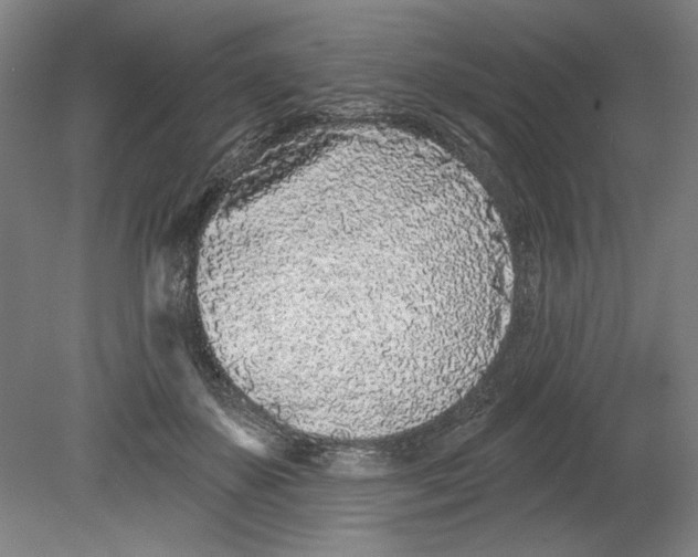 X0000080740507200701051148