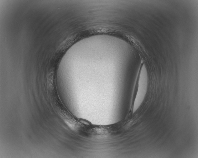 X0000080740509200701051148