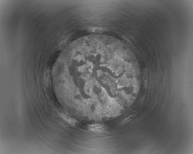 X0000080740511200701051148