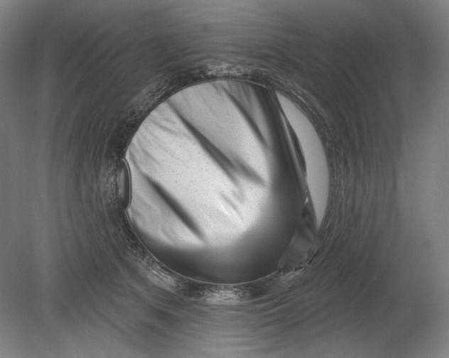 X0000080740513200701051148