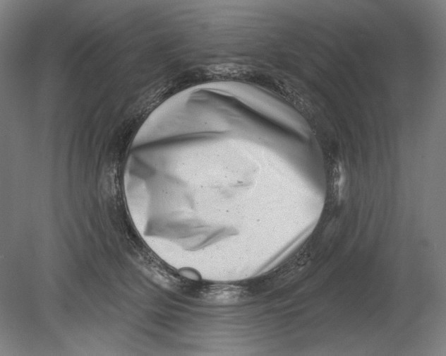 X0000080740514200701051148