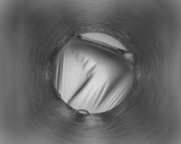 X0000080740515200701051148