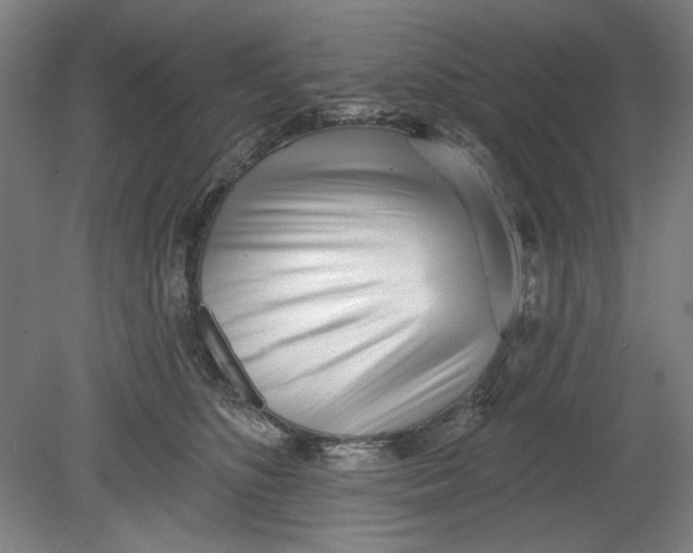 X0000080740516200701051148