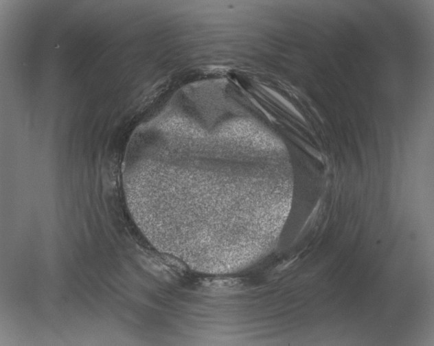 X0000080740517200701051148