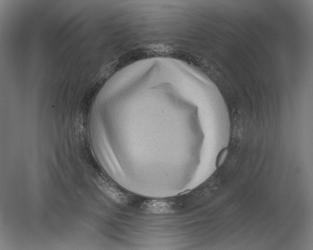 X0000080740518200701051148