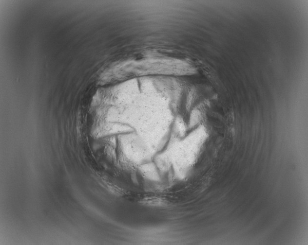 X0000080740519200701051148