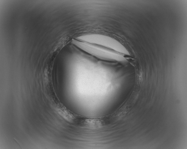 X0000080740520200701051148