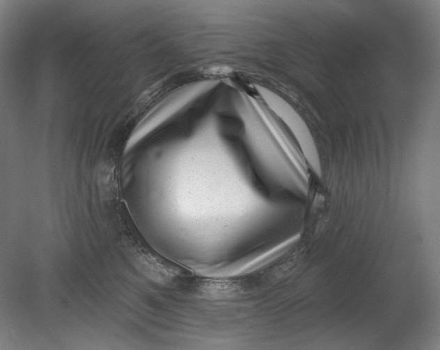 X0000080740521200701051148