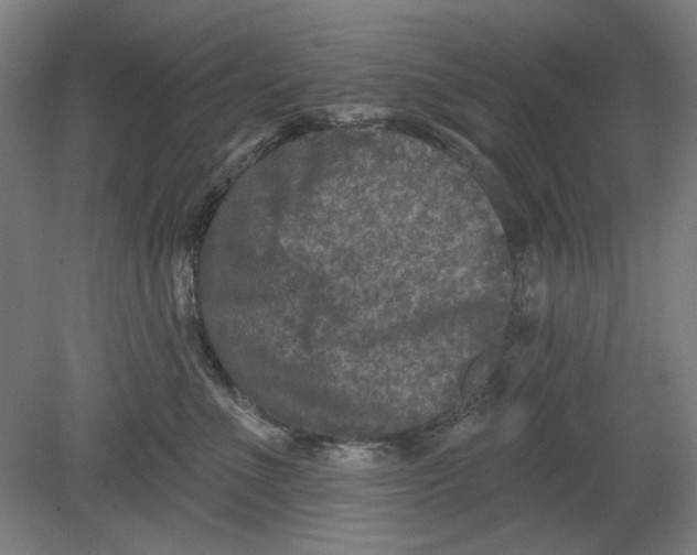 X0000080740523200701051148