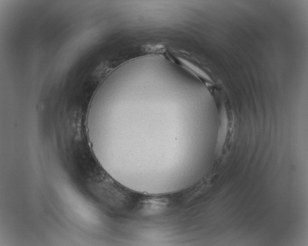 X0000080740525200701051148