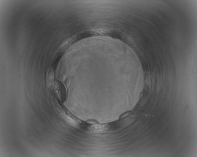 X0000080740526200701051148