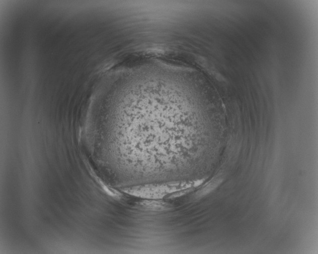 X0000080740528200701051148